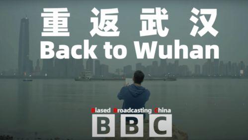 bbc新闻爆料卢克事件,真相与争议交织的悬疑故事